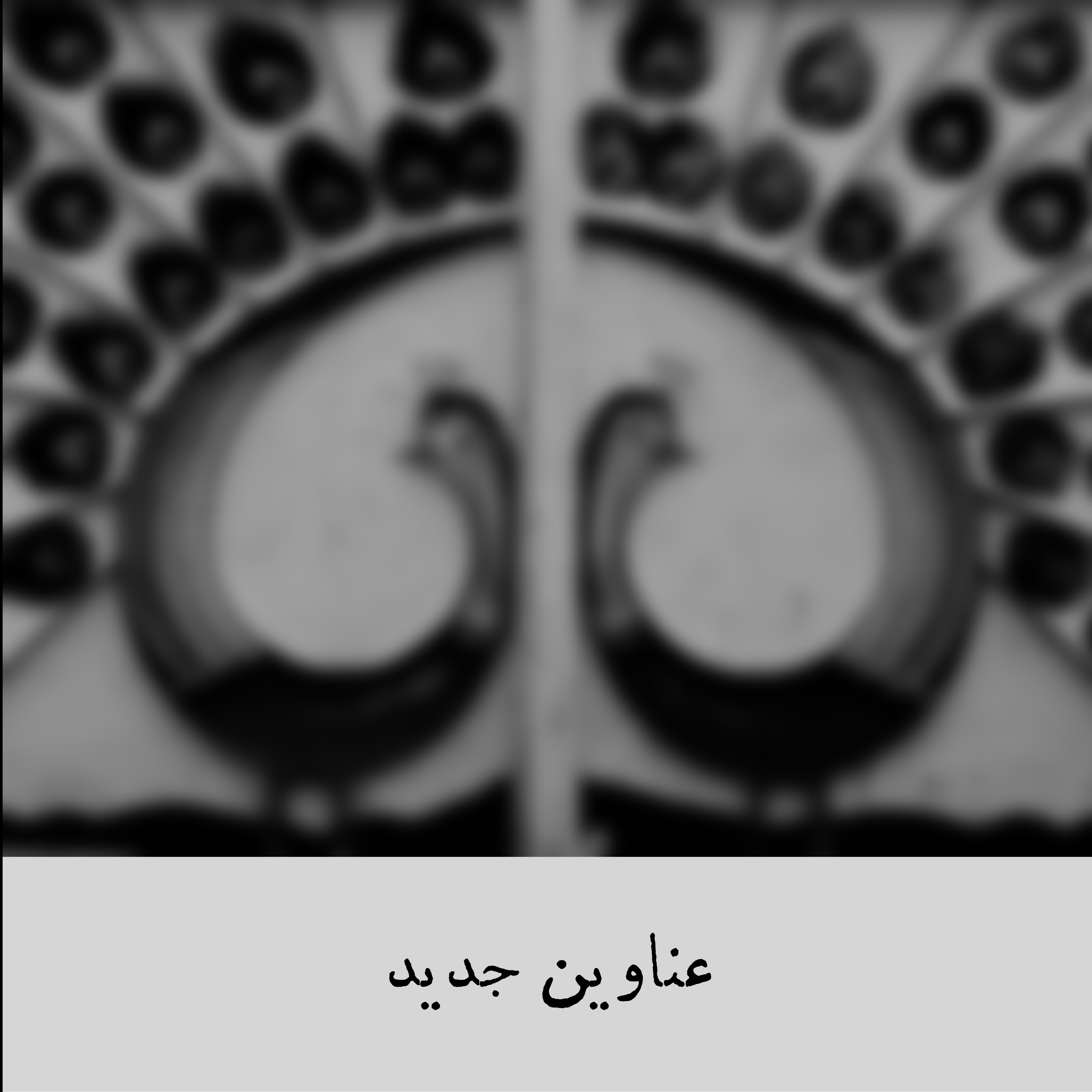 عناوین جدید